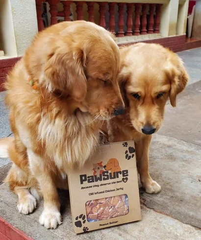 Pawsure CBD Infused Peanut Butter Chicken Jerky