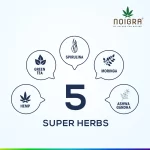 Noigra Hemp Protein Powder - Image 5
