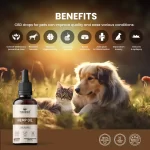 Noigra - Full Spectrum Hemp Oil For Pets (1000mg) - Image 2