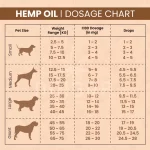 Noigra - Full Spectrum Hemp Oil For Pets (1000mg) - Image 3