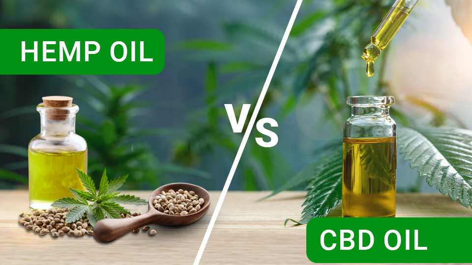 Hemp Oil Vs Cbd Oil Whats The Difference 0230