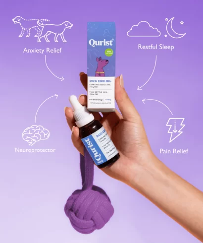 Qurist Pet CBD