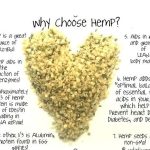 Indus Hemp - Hulled Hemp Hearts 250g|500g - Image 5