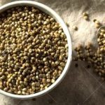 Indus Hemp - Toasted Hemp Seeds 250g|500g - Image 3