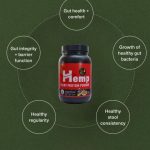Indus Hemp - Hemp Protein Powder 500g|1Kg|2Kg - Image 5