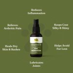 Vedic Tales Hemp Seed Oil For Pets | 50ml - Image 2