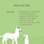 Vedic Tales Hemp Seed Oil For Pets | 50ml - Image 6