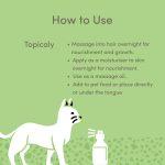 Vedic Tales Hemp Seed Oil For Pets | 50ml - Image 4