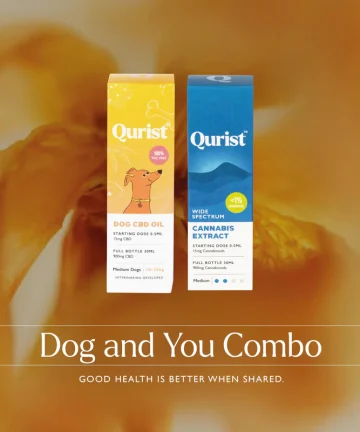qurist dog and you combo