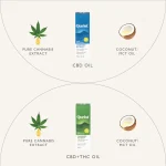Qurist Everyday Wellness Duo - Image 2