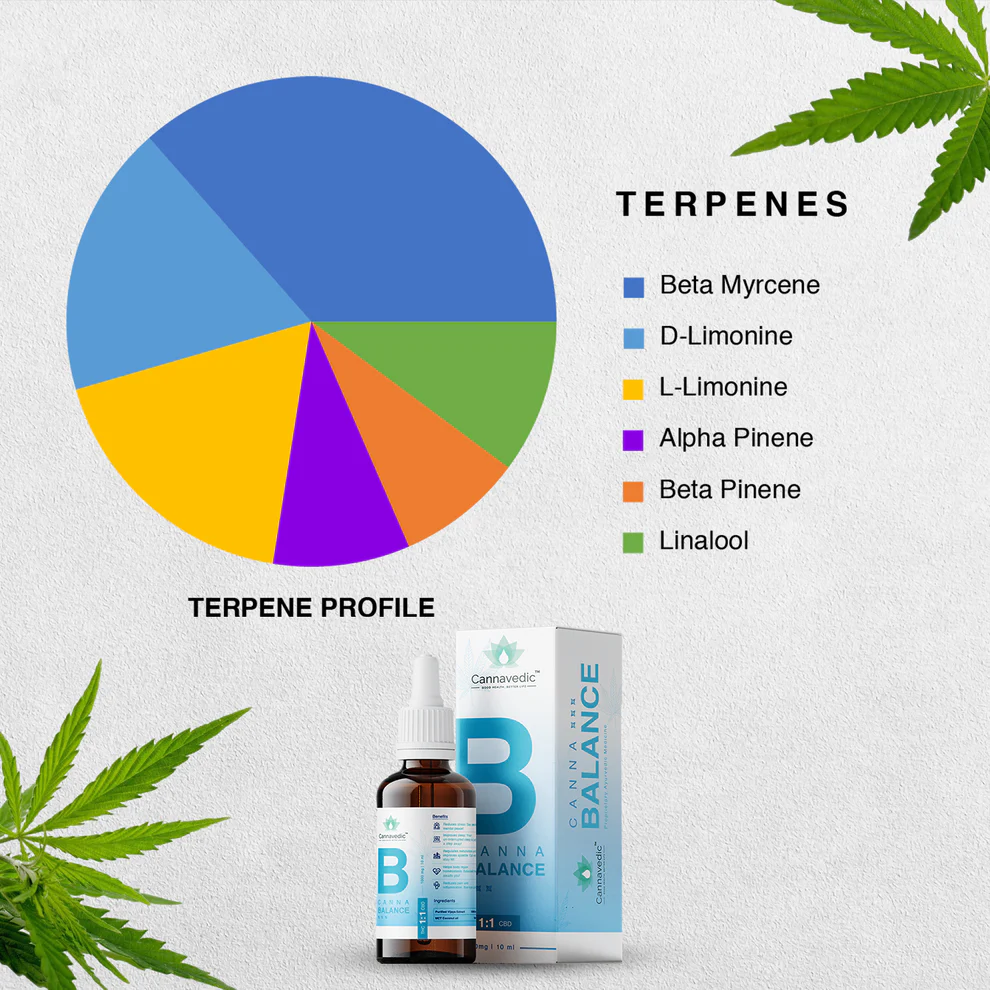 Cannavedic CannaBalance THC+CBD oil (1:1|THC:CBD) - 1000mg | 10ml - Image 5