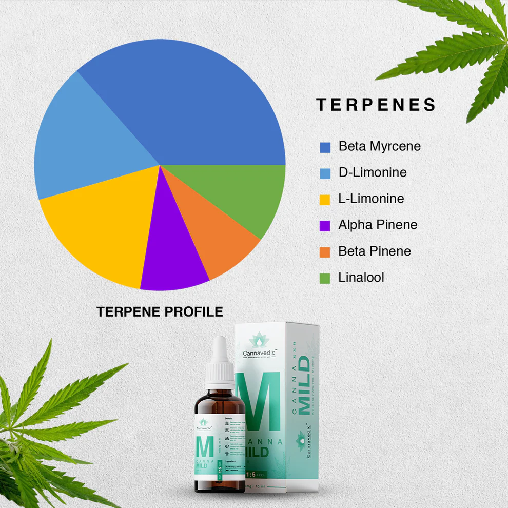 Cannavedic CannaMild THC+CBD Oil (1:5|THC:CBD) - 10ml | 30ml - Image 4