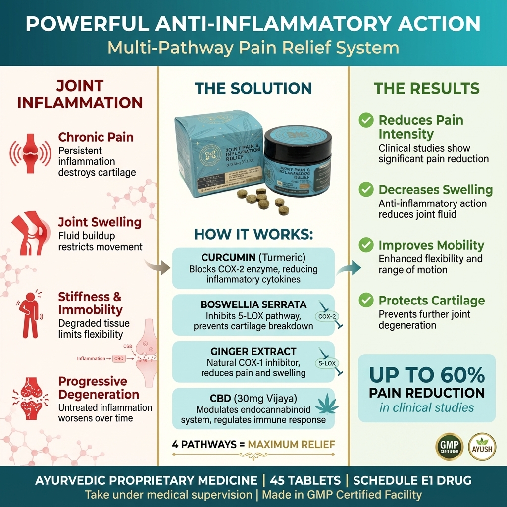 Holi Herb Joint Pain Relief Tablets - Image 2