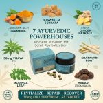 holi herb joint pain relief tablets