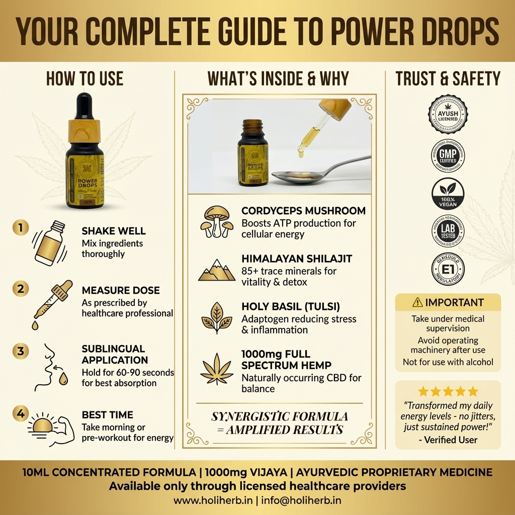 Holi Herb Power Drops | 1000mg - Image 2