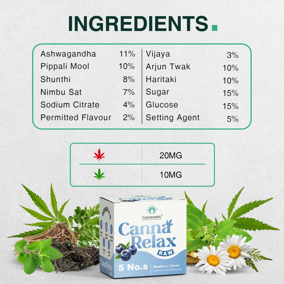Canna Relax RAW (Blueberry) - Ayurvedic Vijaya Candy | 30mg/Candy - Image 5