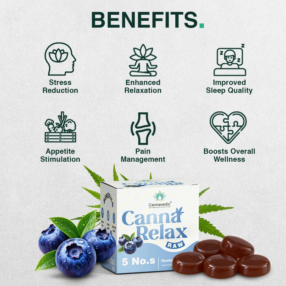Canna Relax RAW (Blueberry) - Ayurvedic Vijaya Candy | 30mg/Candy - Image 2